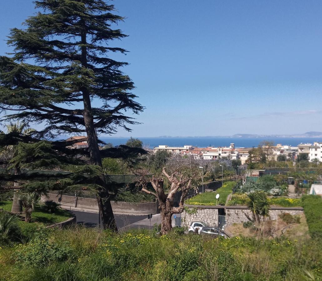 Il Platano Bed & Breakfast Piano di Sorrento Ngoại thất bức ảnh