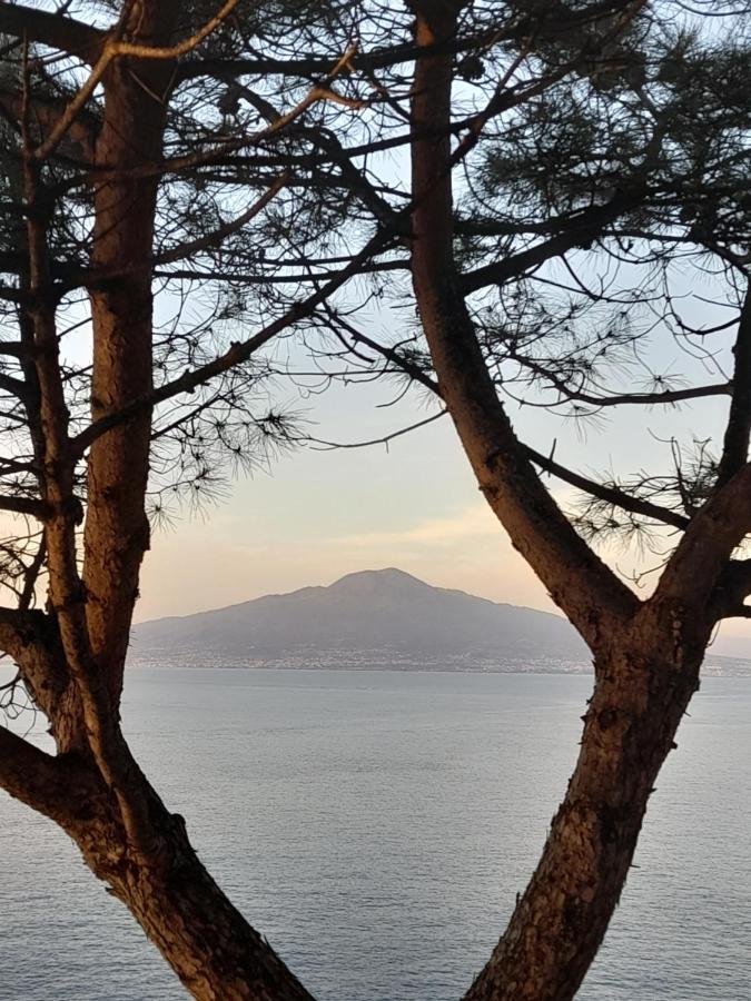 Il Platano Bed & Breakfast Piano di Sorrento Ngoại thất bức ảnh